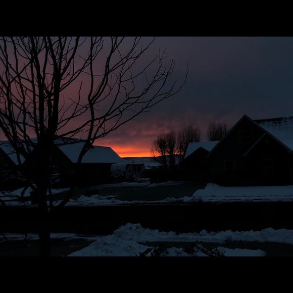 Meet your Posher, Bailey - Picture 1 of 1